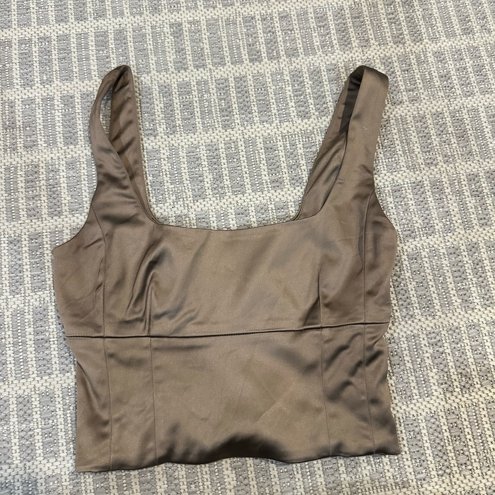 COPY - Aritzia brown corset top